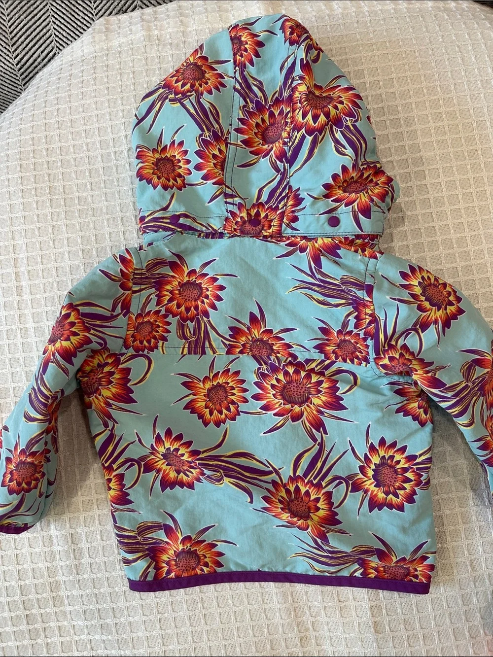 Patagonia great soft
